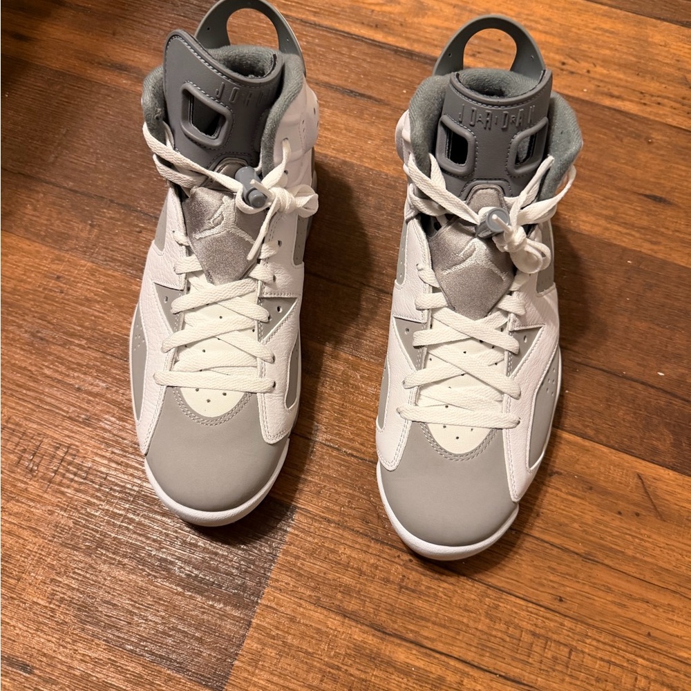 Jordan Retro 6 Gray and White